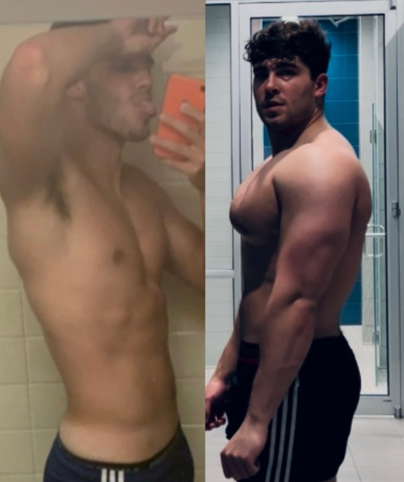 True Transformation System